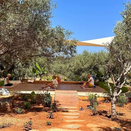 The Secret Treehouse Apartment *