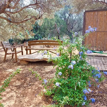 The Secret Treehouse