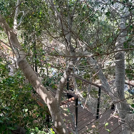 Apartment The Secret Treehouse Hersonissos (Crete)