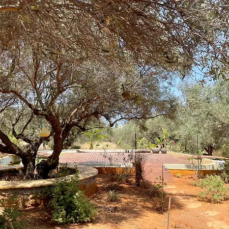 The Secret Treehouse Apartment