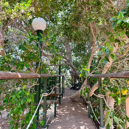 The Secret Treehouse Apartment Hersonissos (Crete)