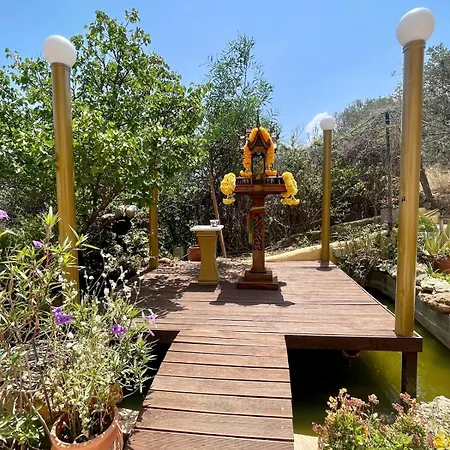 The Secret Treehouse *