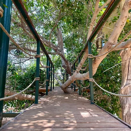 The Secret Treehouse