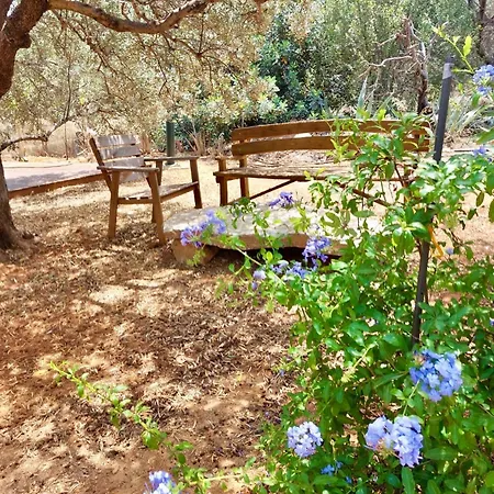 The Secret Treehouse Apartment Hersonissos (Crete)