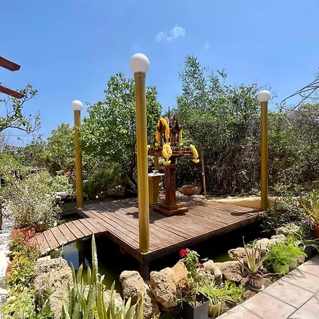 The Secret Treehouse *