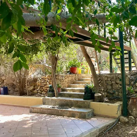 The Secret Treehouse