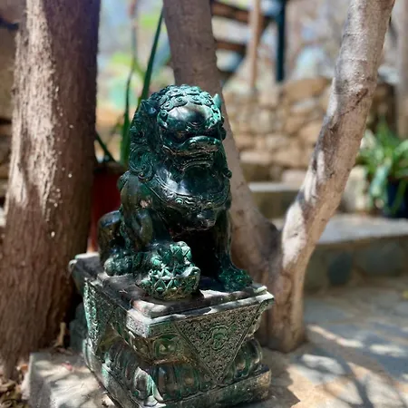 The Secret Treehouse Hersonissos (Crete)