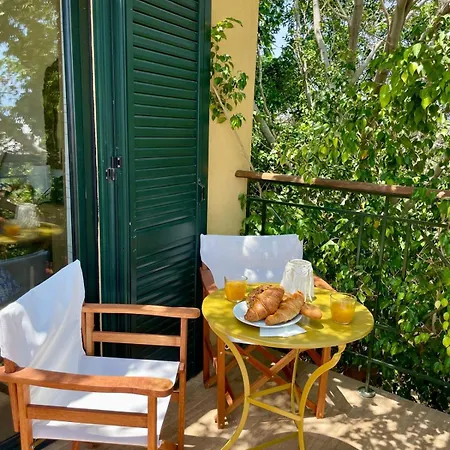 The Secret Treehouse *