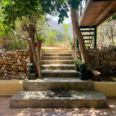 The Secret Treehouse Apartment