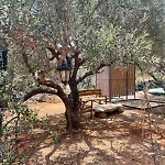 The Secret Treehouse شقة