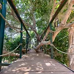 The Secret Treehouse