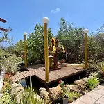 The Secret Treehouse *