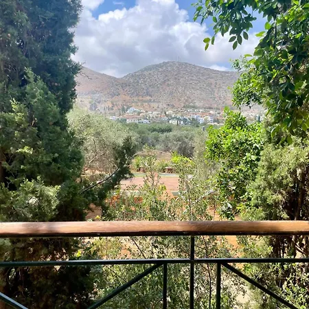 The Secret Treehouse *