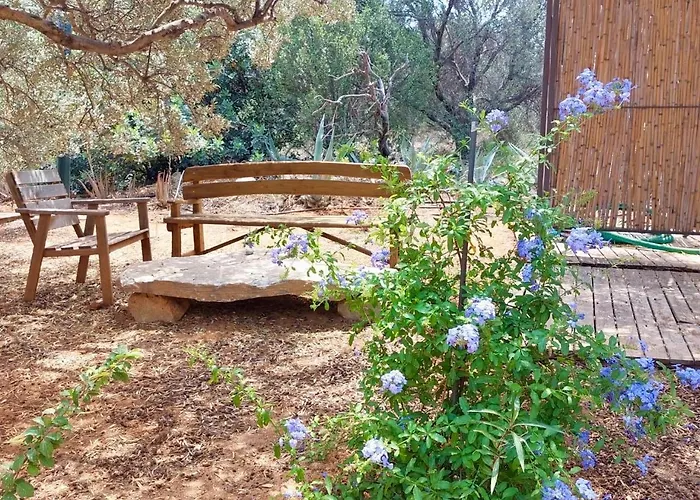 The Secret Treehouse