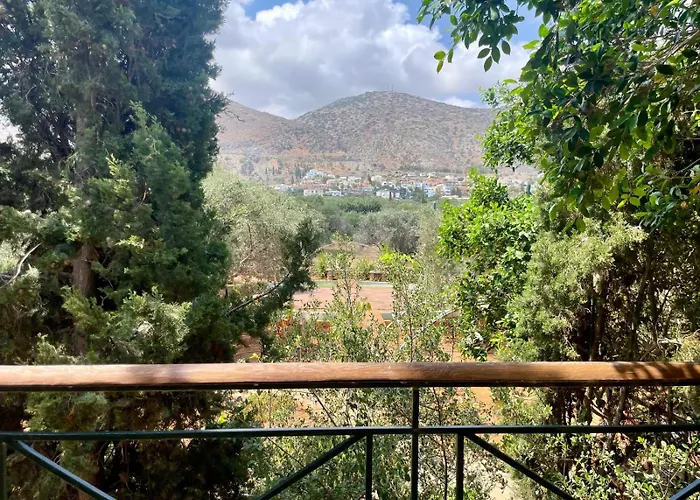 The Secret Treehouse *