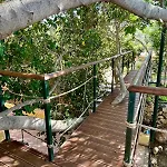 The Secret Treehouse 赫索尼索斯
