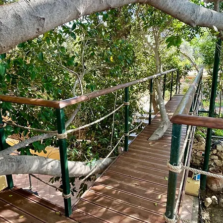The Secret Treehouse Chersonissos
