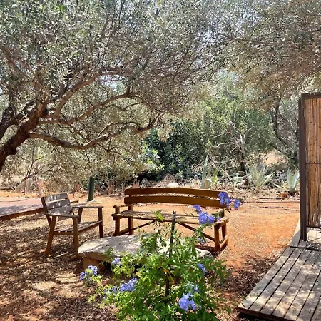 Апартаменти The Secret Treehouse *