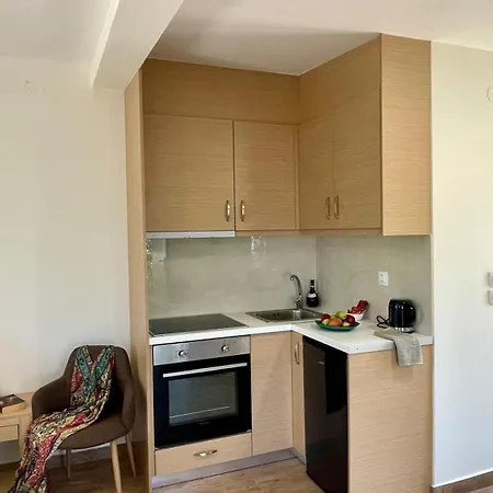 The Secret Treehouse