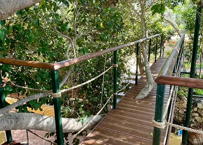 The Secret Treehouse Херсонісос