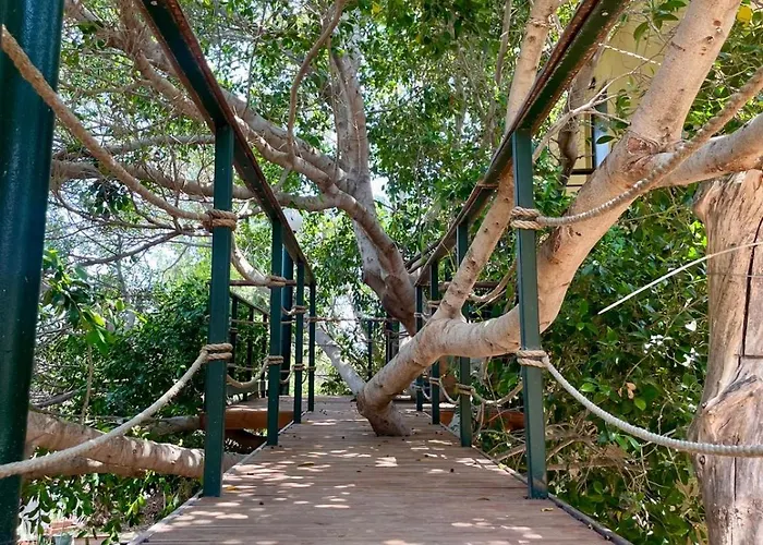 The Secret Treehouse